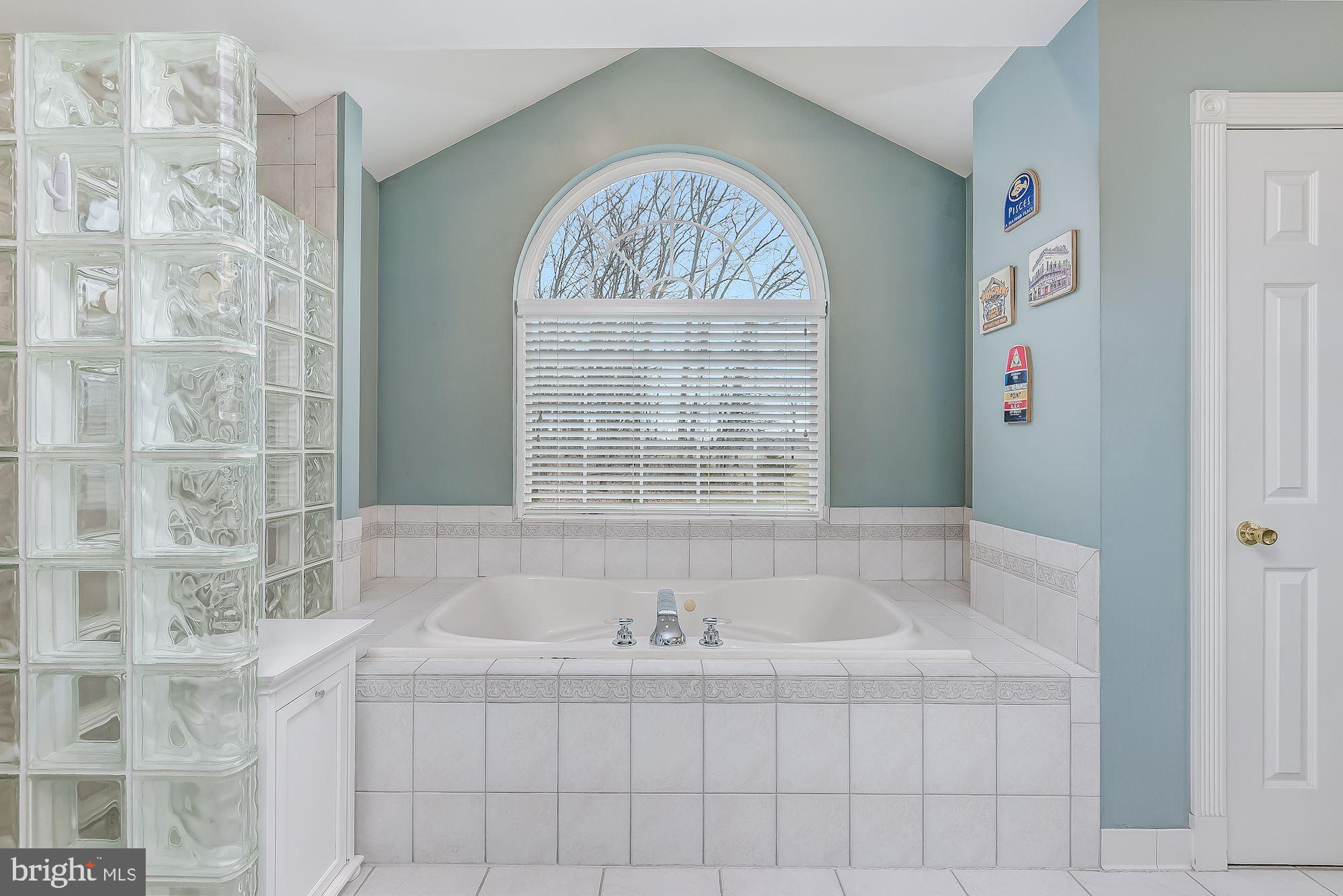 15611 Bushy Park Road Woodbine, MD 21797 - Photo 40 of 92 Luxury Primary Bath