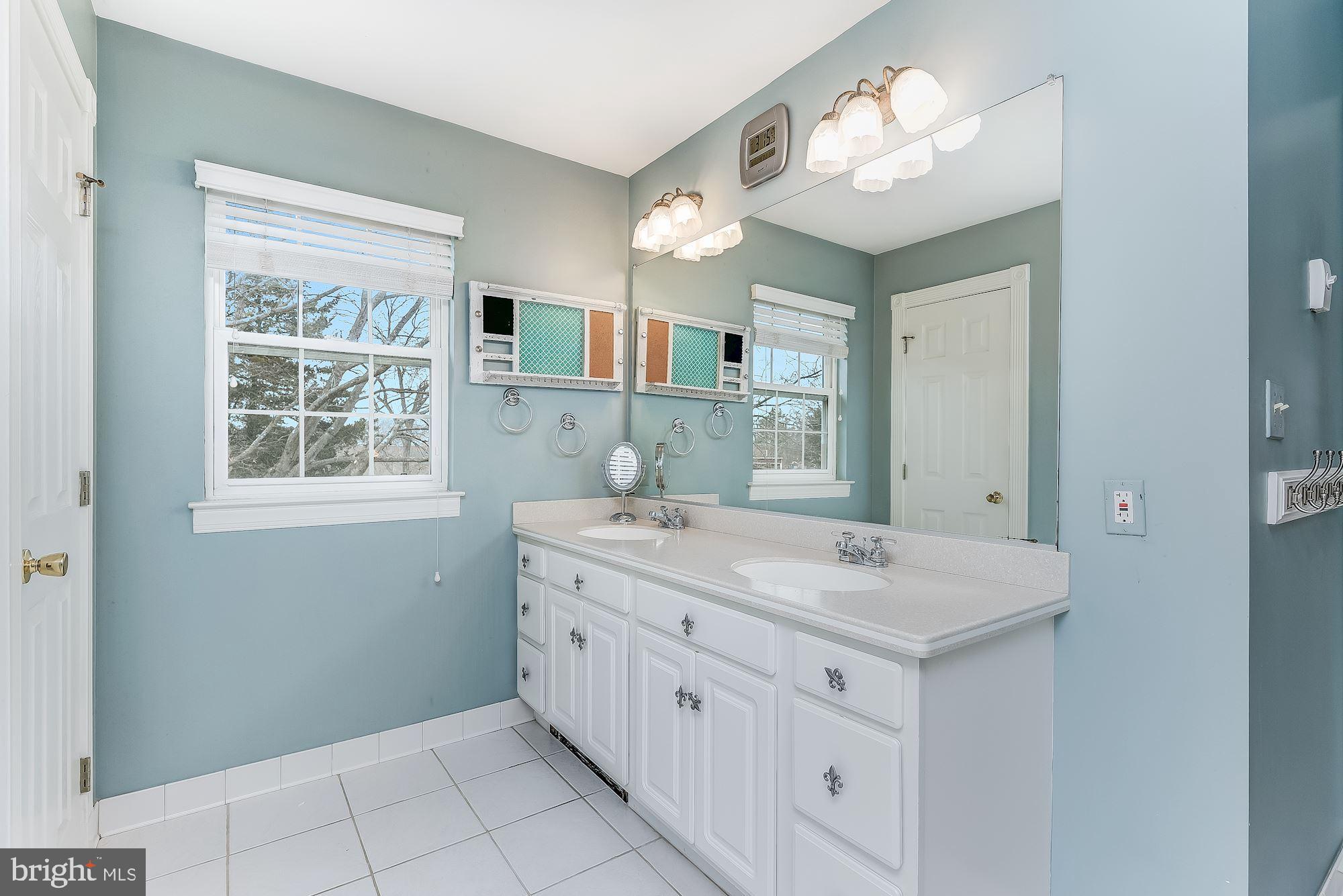 15611 Bushy Park Road Woodbine, MD 21797 - Photo 41 of 92 Luxury Primary Bath