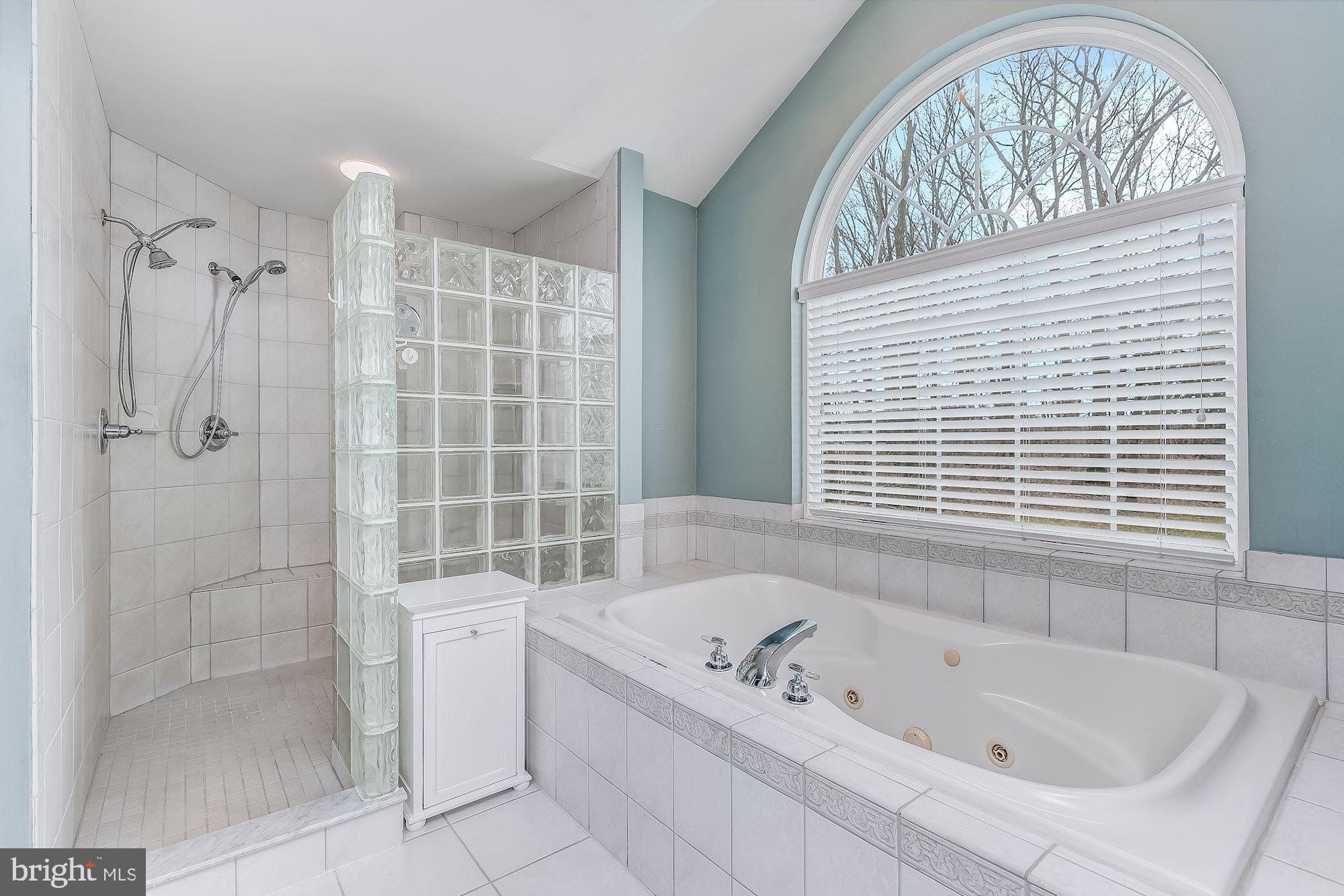 15611 Bushy Park Road Woodbine, MD 21797 - Photo 42 of 92 Luxury Primary Bath