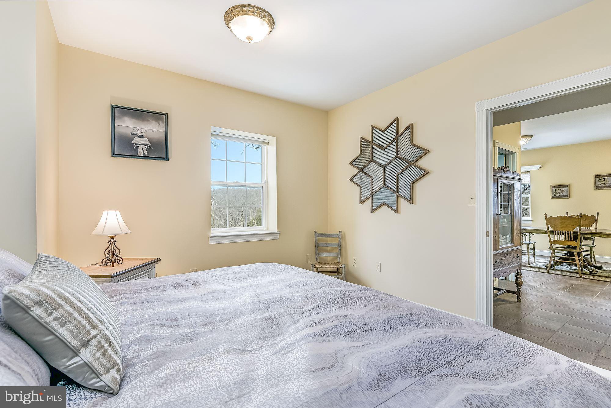 15611 Bushy Park Road Woodbine, MD 21797 - Photo 59 of 92 Lower Level Bedroom 5