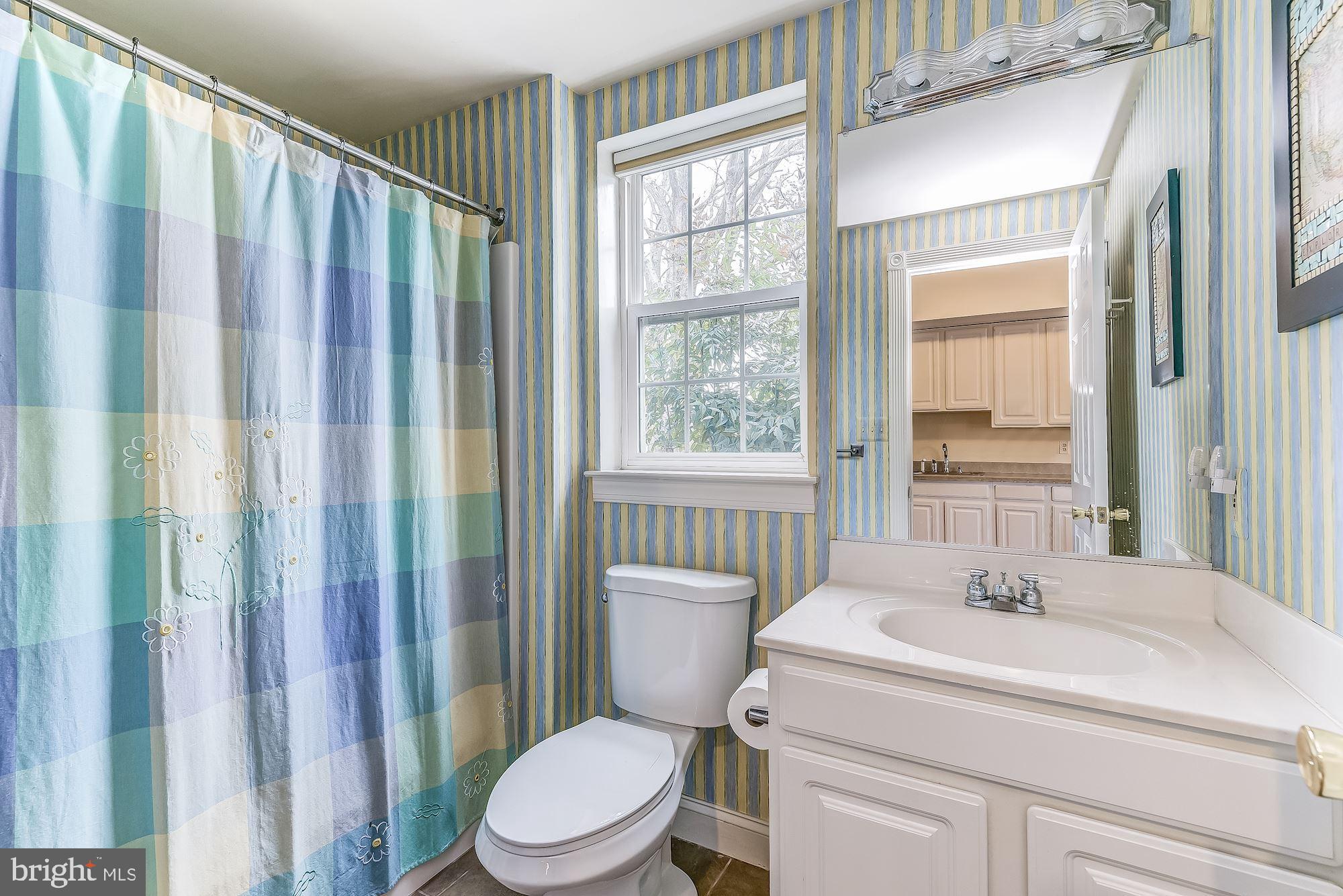 15611 Bushy Park Road Woodbine, MD 21797 - Photo 60 of 92 Lower Level Full Bath