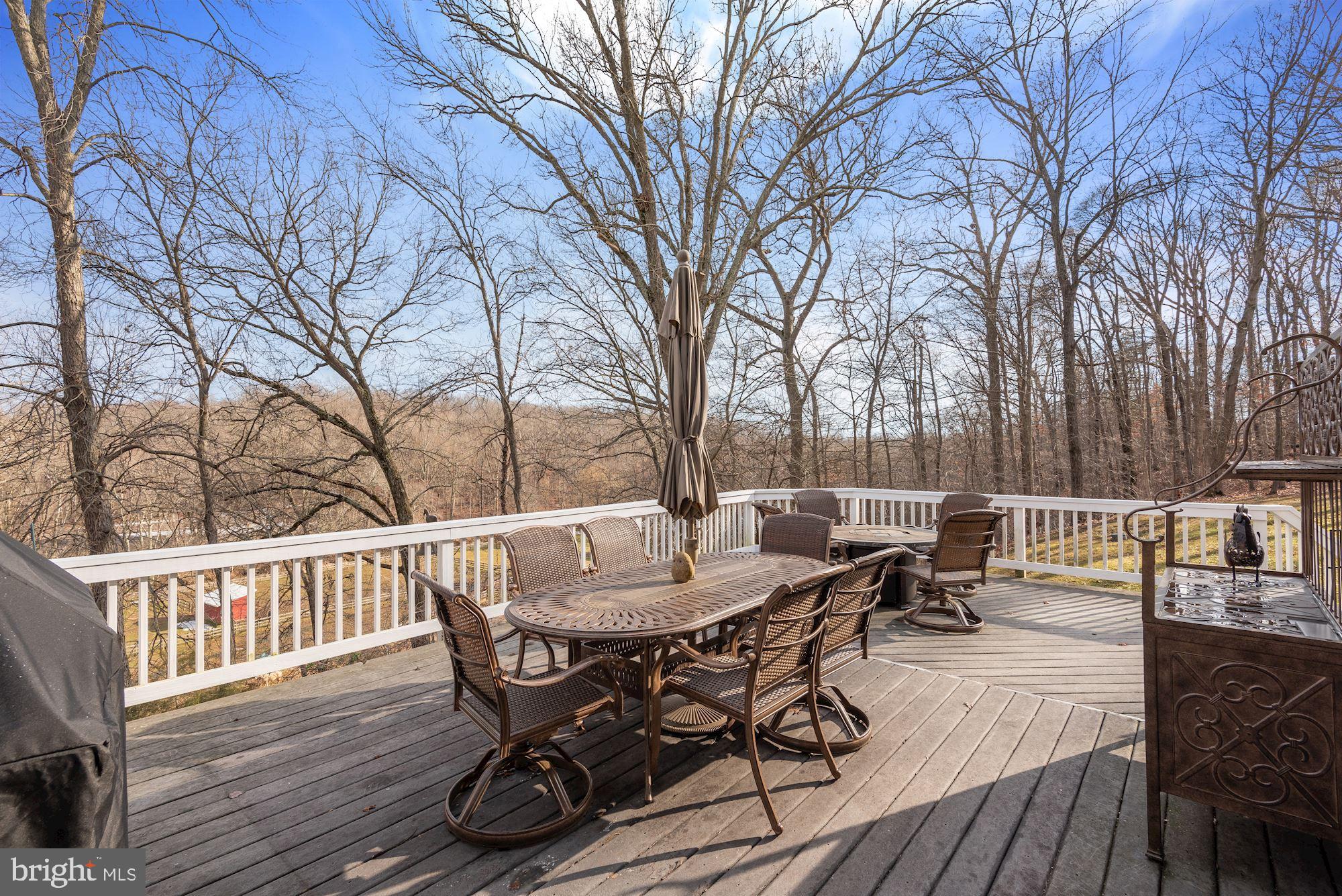 15611 Bushy Park Road Woodbine, MD 21797 - Photo 69 of 92 Expansive Deck