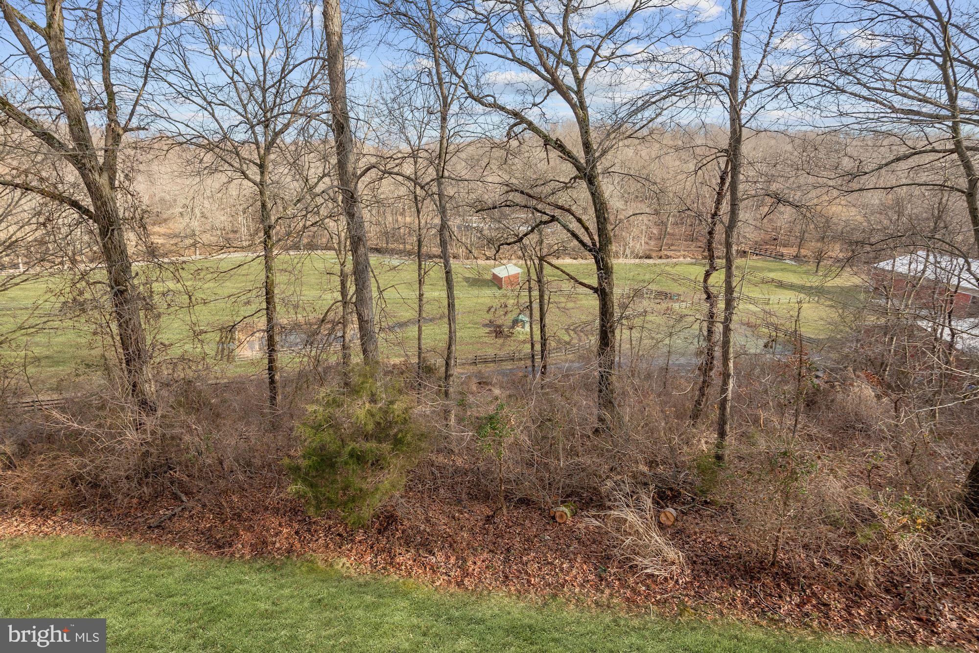 15611 Bushy Park Road Woodbine, MD 21797 - Photo 70 of 92 Deck View