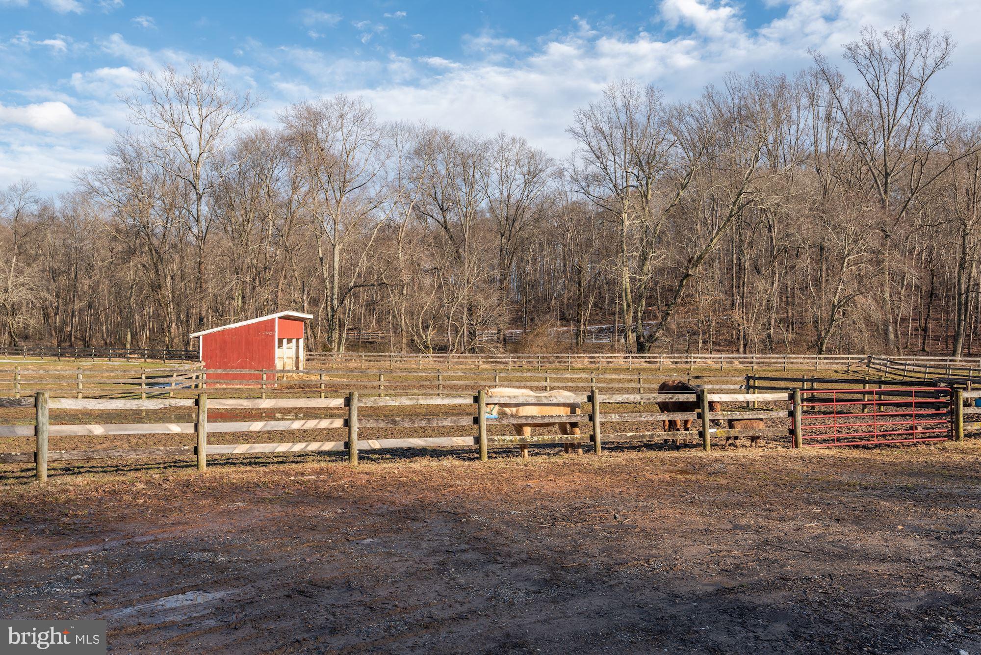 15611 Bushy Park Road Woodbine, MD 21797 - Photo 74 of 92 Pasture