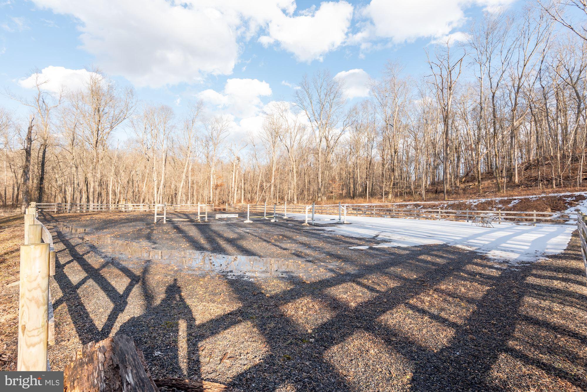 15611 Bushy Park Road Woodbine, MD 21797 - Photo 85 of 92 Riding Ring