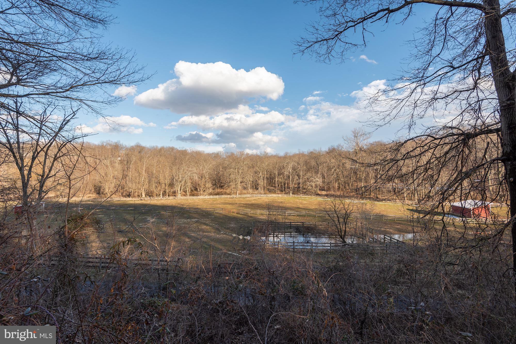 15611 Bushy Park Road Woodbine, MD 21797 - Photo 86 of 92 Breathtaking Views