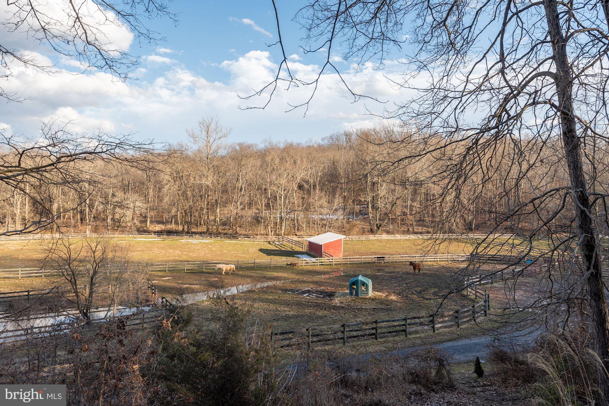 15611 Bushy Park Road Woodbine, MD 21797 - Photo 87 of 92 Breathtaking Views