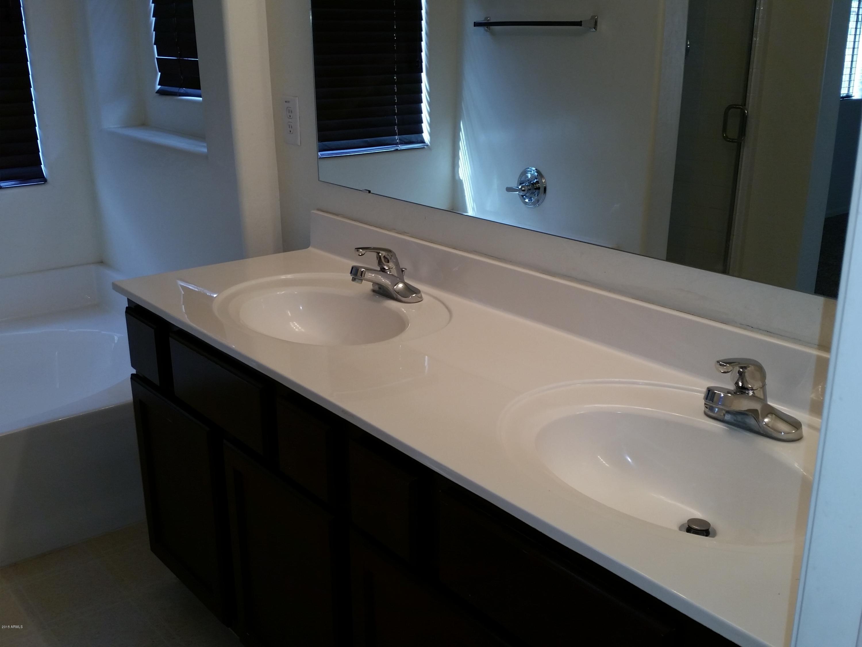 3937 South Rim Road Gilbert, AZ 85297 - Photo 8 of 15 Sinks