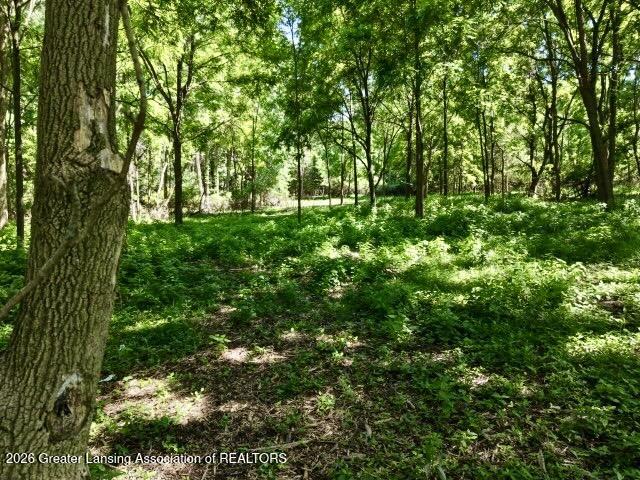 0 East State Road Lansing, MI 48906 - Photo 8 of 10 woods