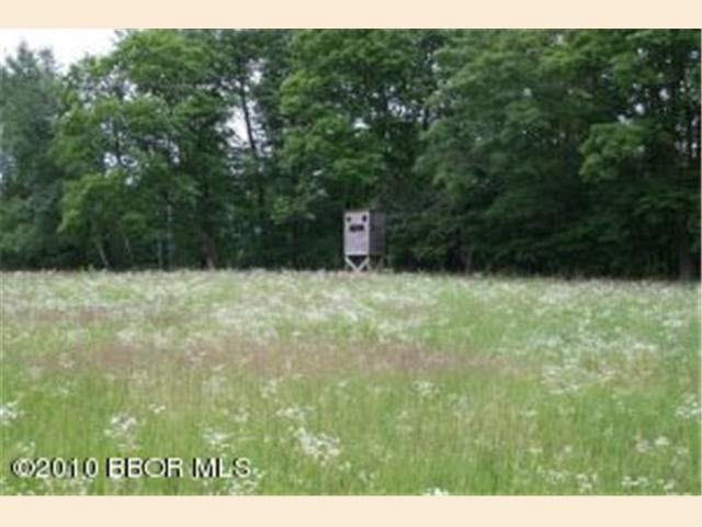 500 Rd Debs Mn 56676 Road Shevlin, MN 56676 - Photo 8 of 8 Gallery Image 8