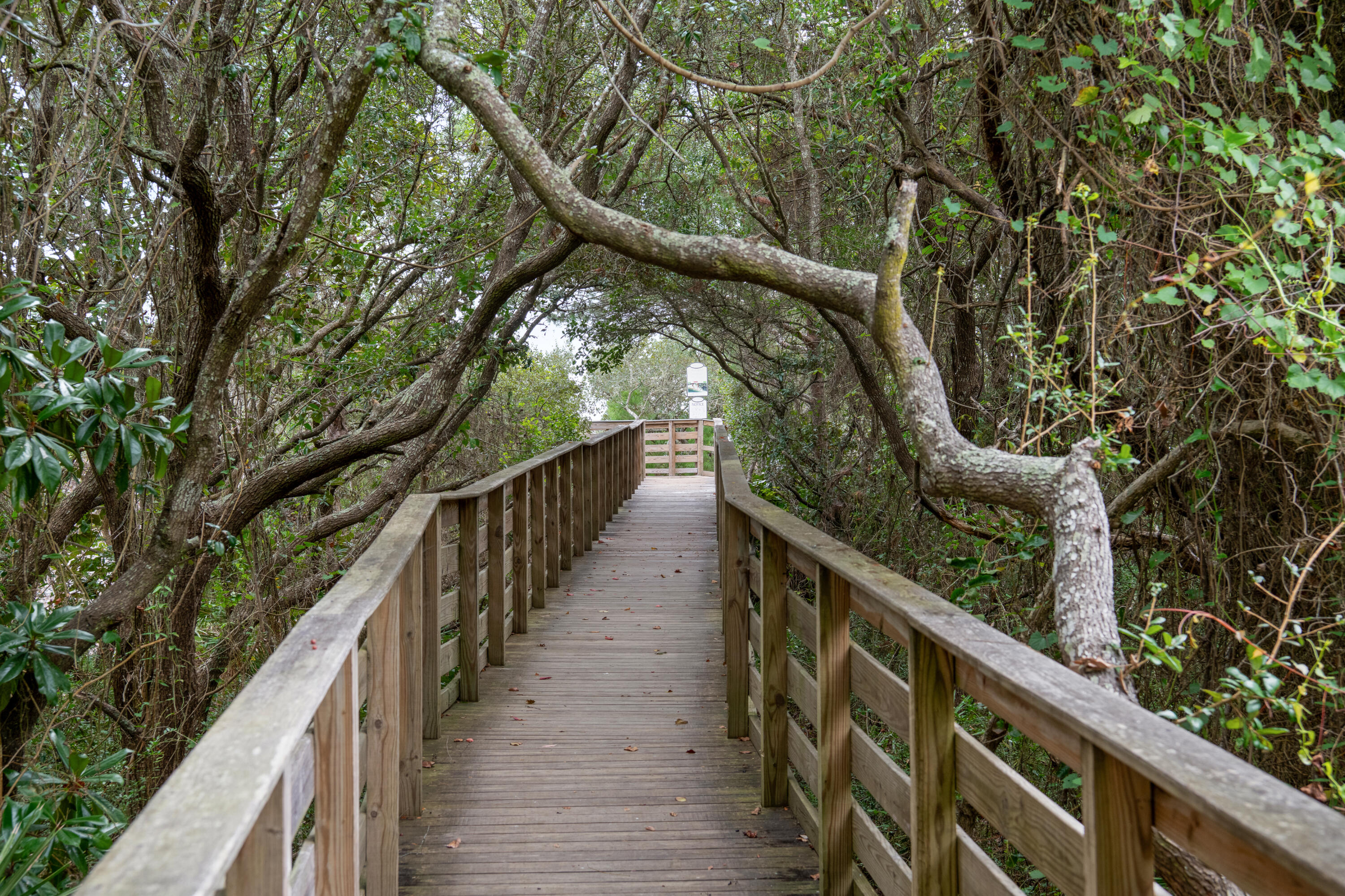 345 Morgans Trail Santa Rosa Beach, FL 32459 - Photo 71 of 77 345MorgansTrail-144