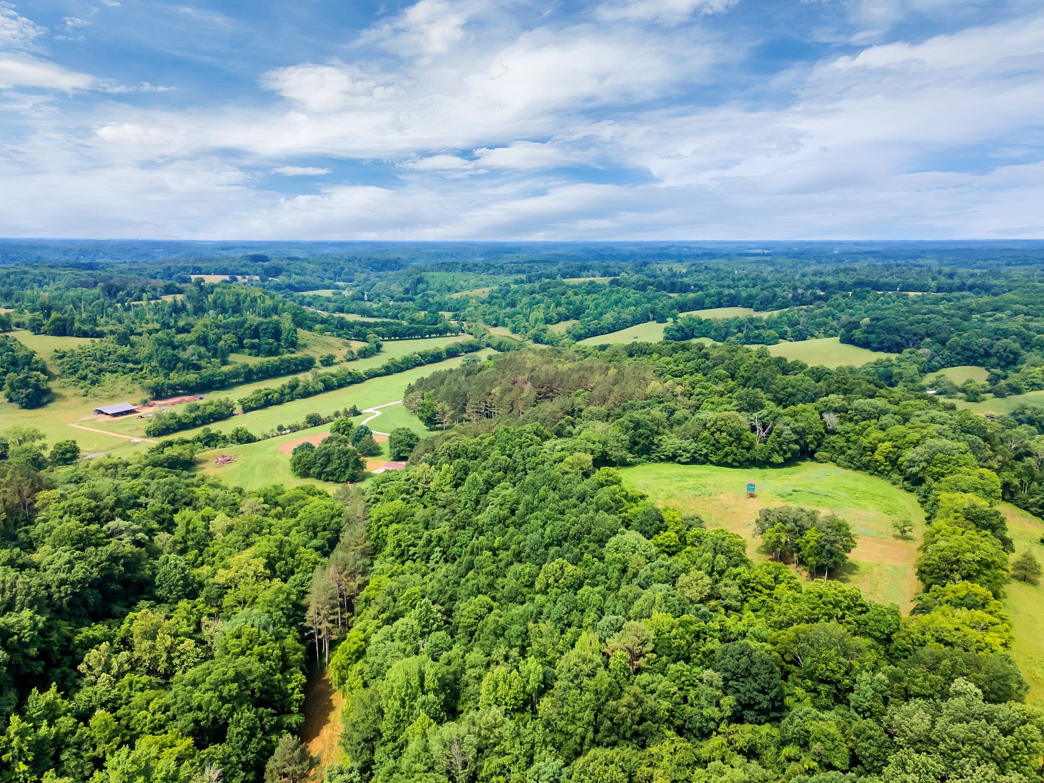 1764 Wray Branch Road Minor Hill, TN 38473 - Photo 16 of 28