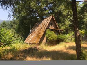 401-411 China Flat Road Burnt Ranch, CA 95527 - Photo 1 of 1 A Frame