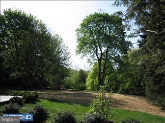 253 Berwind Road Radnor, PA 19087 - Photo 6 of 6