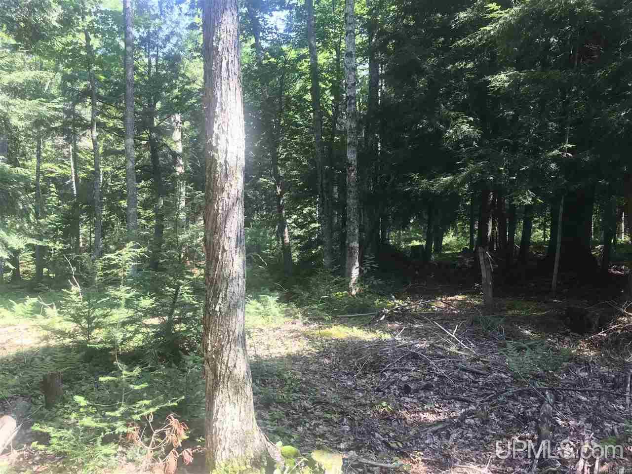 Tbd Sq Road, Unit 1 Cornell, MI 49818 - Photo 5 of 6