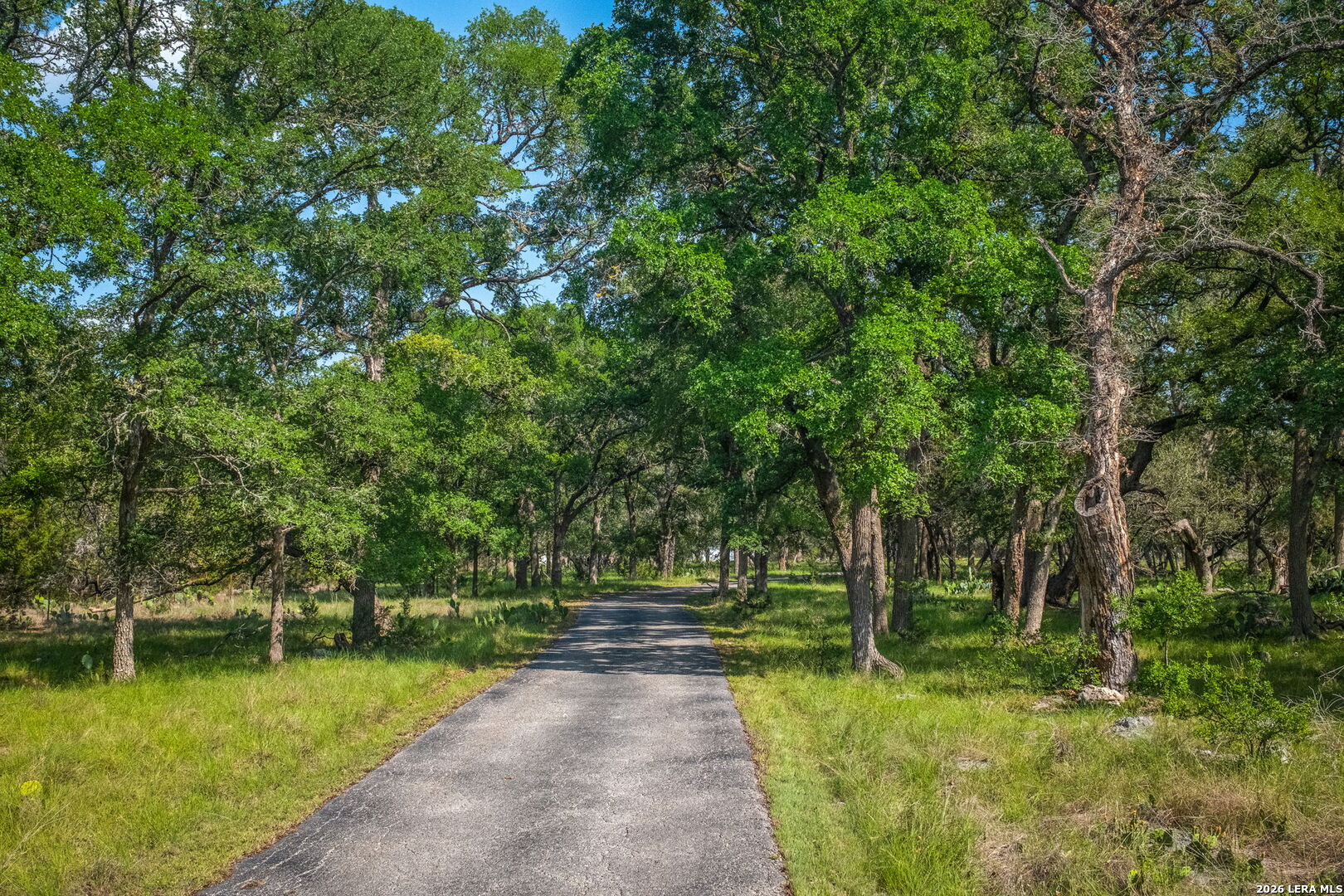 8580 Spring Branch Road Spring Branch, TX 78070 - Photo 5 of 39