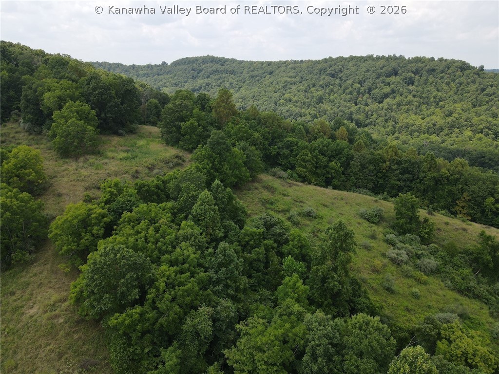 1162 Bear Run Reedy, WV 25270 - Photo 8 of 34 Gallery Image 8