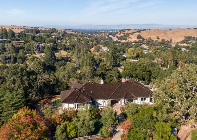 a view of a park that has large trees