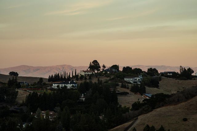 a view of a patio with table and chairs potted plants and large tree
