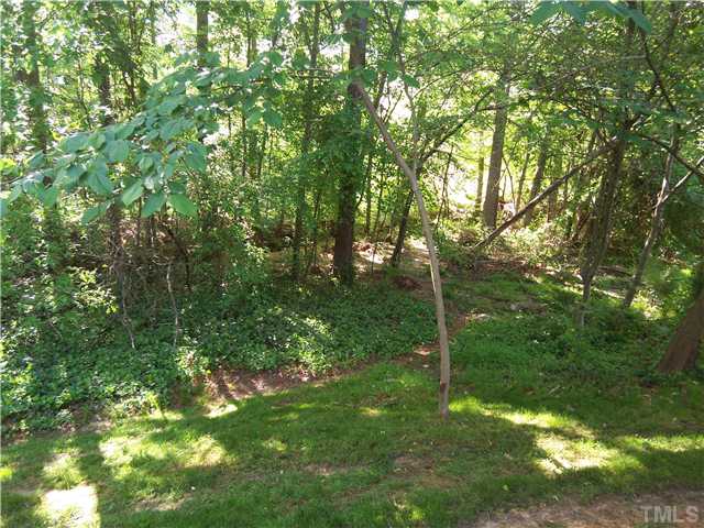 7300 Sandy Creek Drive Raleigh, NC 27615 - Photo 24 of 25 a view of a trees with a yard
