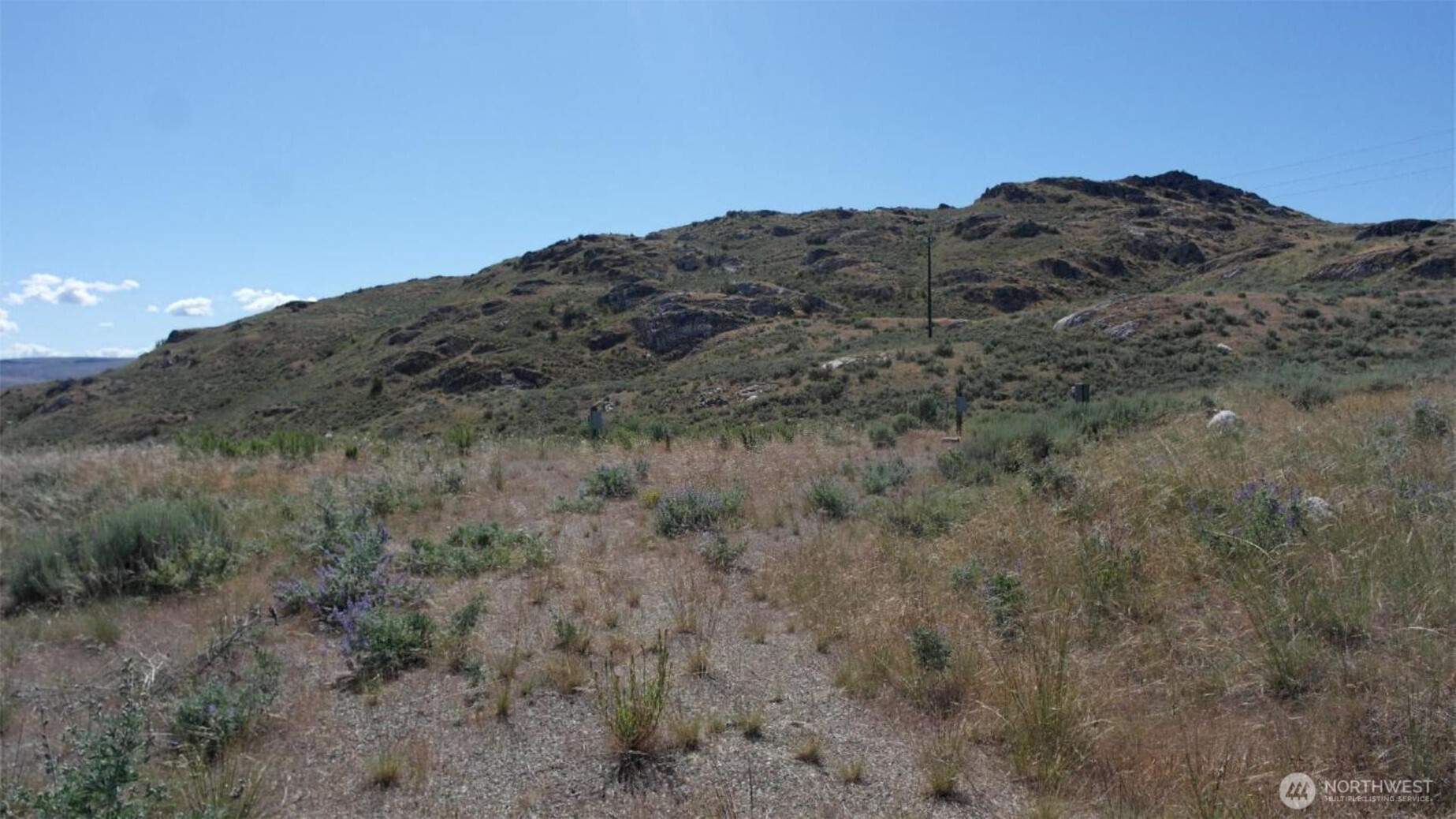 446 Plata Road Brewster, WA 98812 - Photo 12 of 32 a view of a mountain range with trees in the background