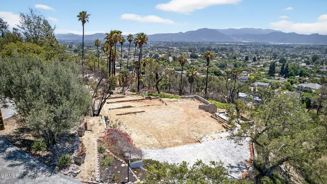 a view of a dry back yard