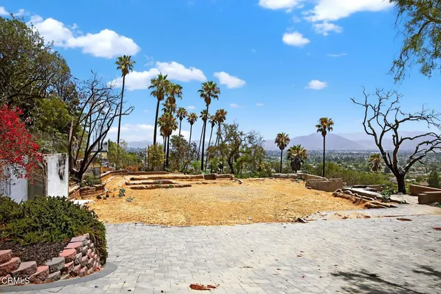 a view of a dry yard with a tree