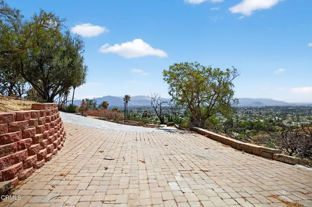 a view of a road near a tree