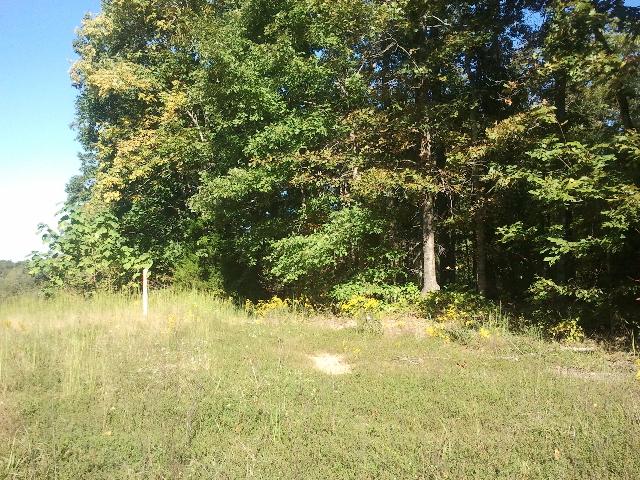 0 Crying Owl Ridge Lane Lynchburg, TN 37352 - Photo 1 of 1 Crying Owl Ridge Lane.