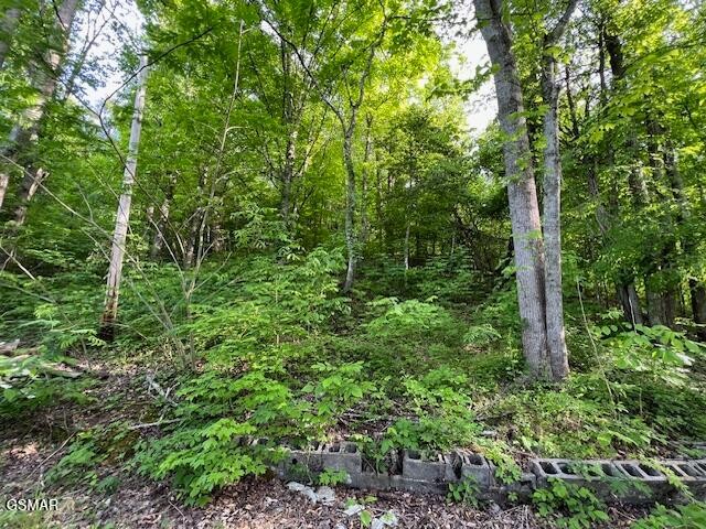 22 South Rogers Road Seymour, TN 37865 - Photo 7 of 11 Gallery Image 7