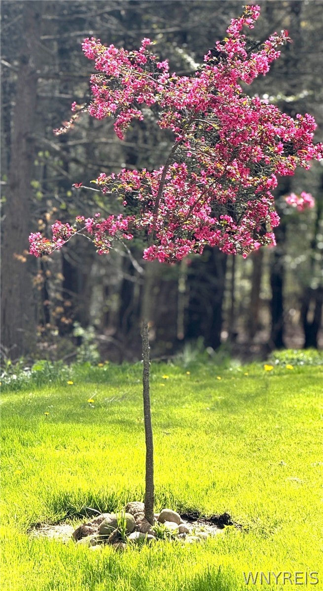 8709 Heath Road Colden, NY 14033 - Photo 45 of 50 Gallery Image 45