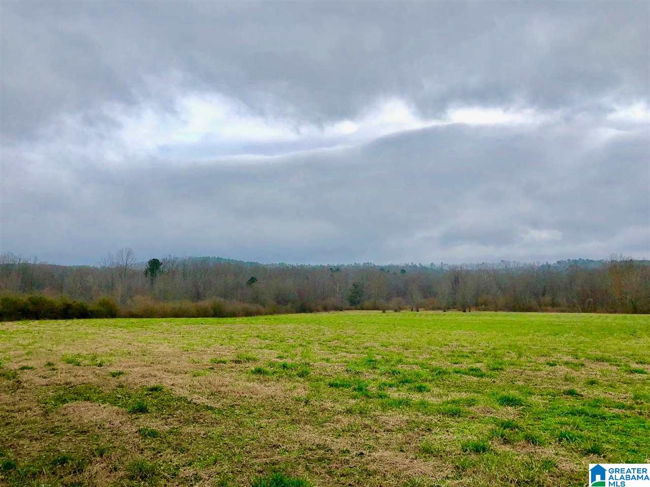 4838 Pleasant Valley Road Ashville, AL 35953 - Photo 48 of 50