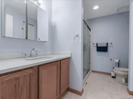 a bathroom with a sink and a toilet