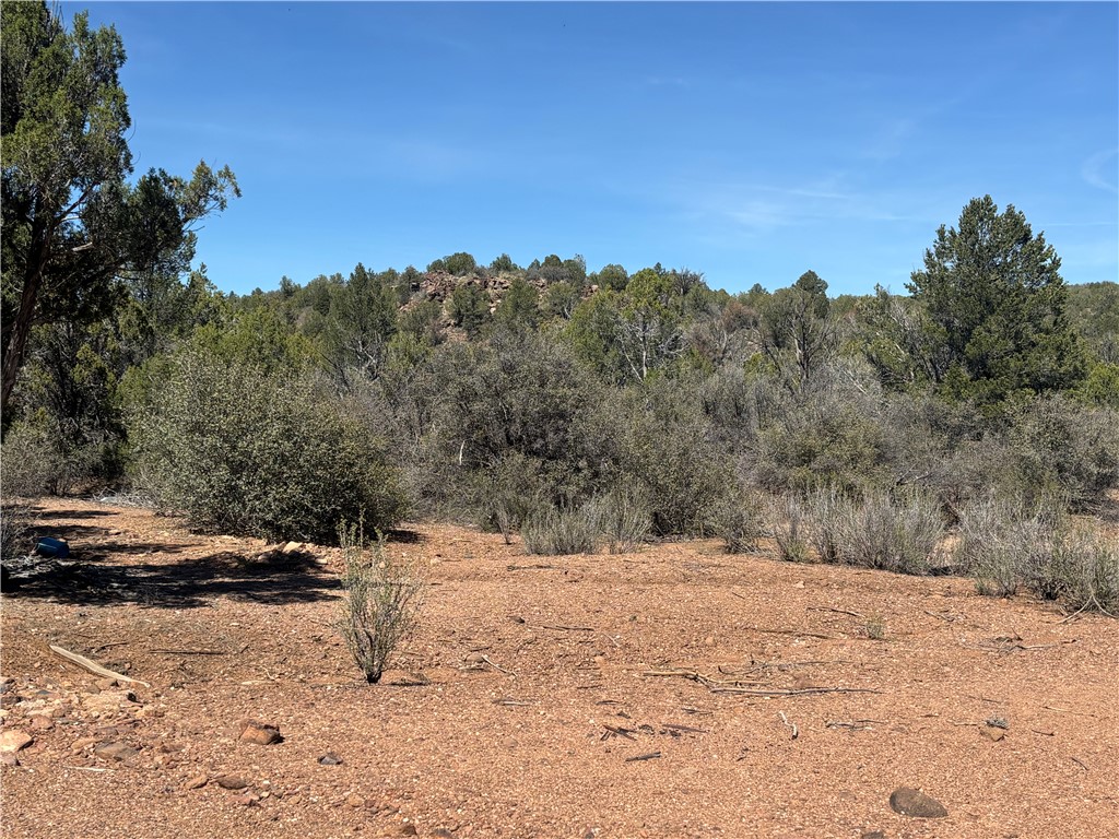 352-38-012 352-38-012 Badger Ridge Road Kingman, AZ 86401 - Photo 10 of 31