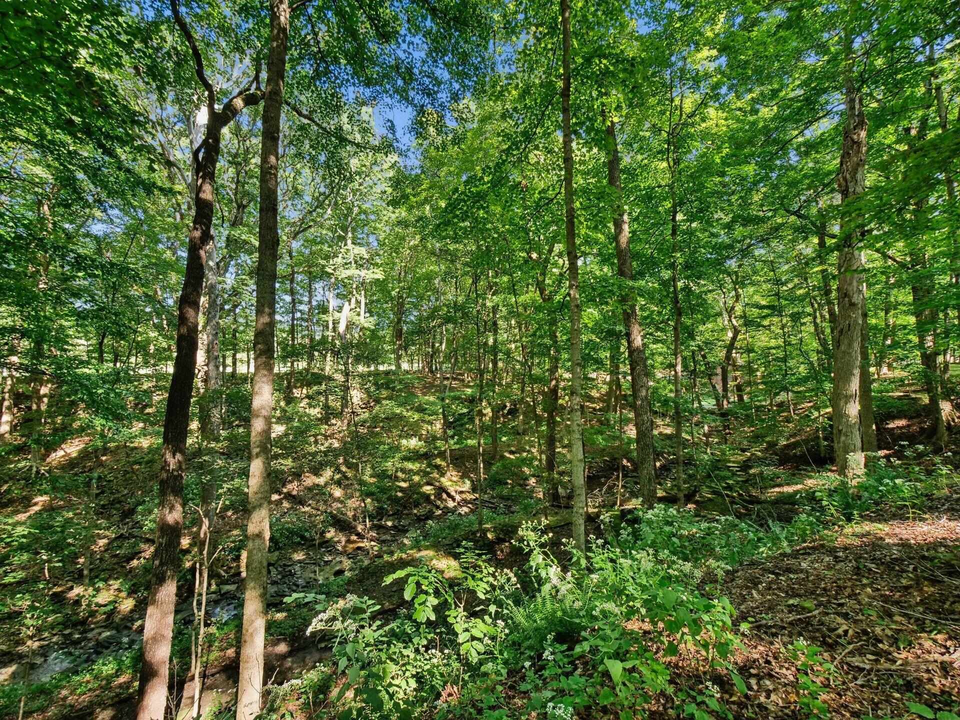 6218 Harlem Road Westerville, OH 43082 - Photo 61 of 146 059_ Westerville OH 43082 USA