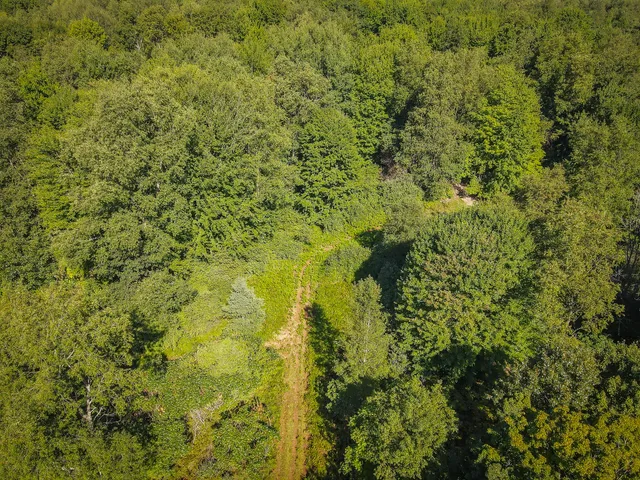 $124,000 | Parcel A North 168th Avenue, Walkerville, MI 49459