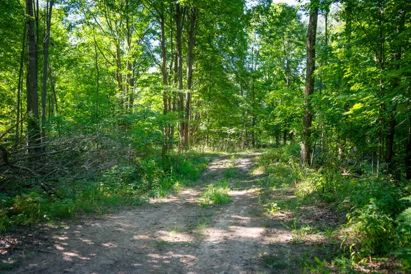 $109,500 | Parcel A North 168th Avenue, Walkerville, MI 49459
