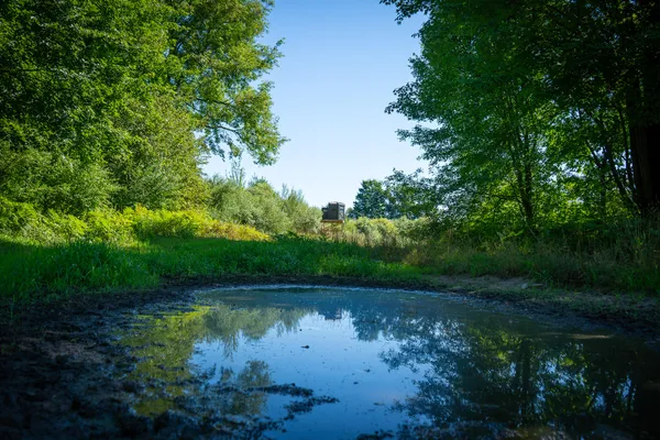 $109,500 | Parcel A North 168th Avenue, Walkerville, MI 49459