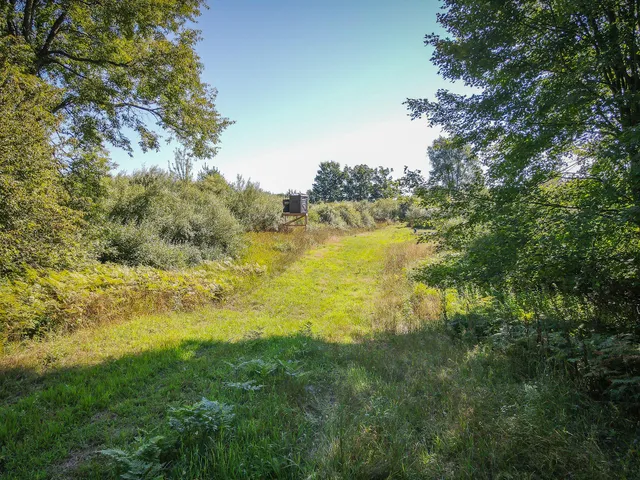 $124,000 | Parcel A North 168th Avenue, Walkerville, MI 49459