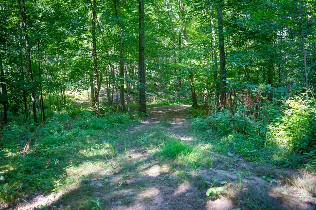 $124,000 | Parcel A North 168th Avenue, Walkerville, MI 49459