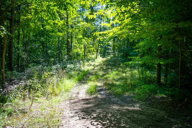 $124,000 | Parcel A North 168th Avenue, Walkerville, MI 49459