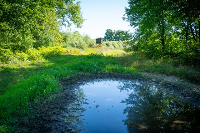 $124,000 | Parcel A North 168th Avenue, Walkerville, MI 49459