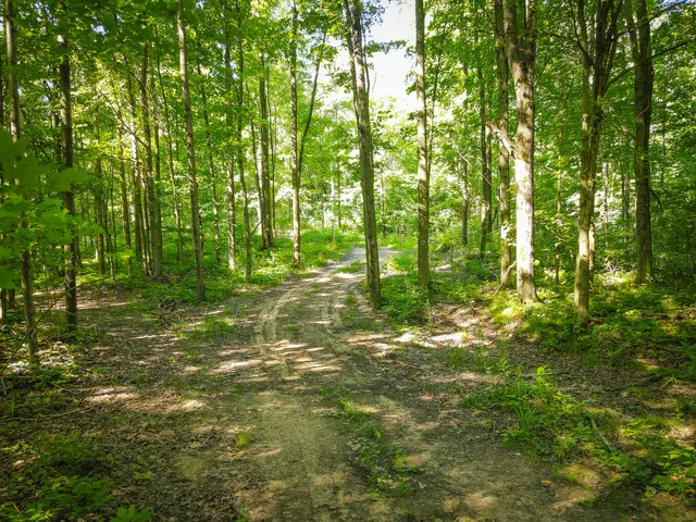 $124,000 | Parcel A North 168th Avenue, Walkerville, MI 49459