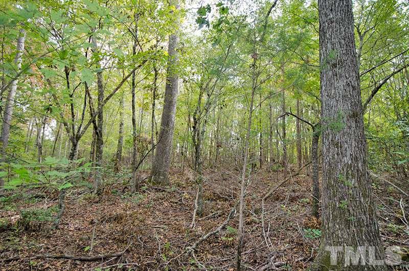 1 Blacks Road Macon, NC 27551 - Photo 4 of 14 Gallery Image 4