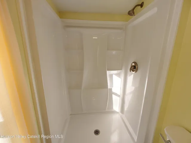 a view of a yard with plants and trees