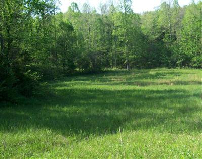1 Marcum Road McKee, KY 40447 - Photo 3 of 12 Photo 3