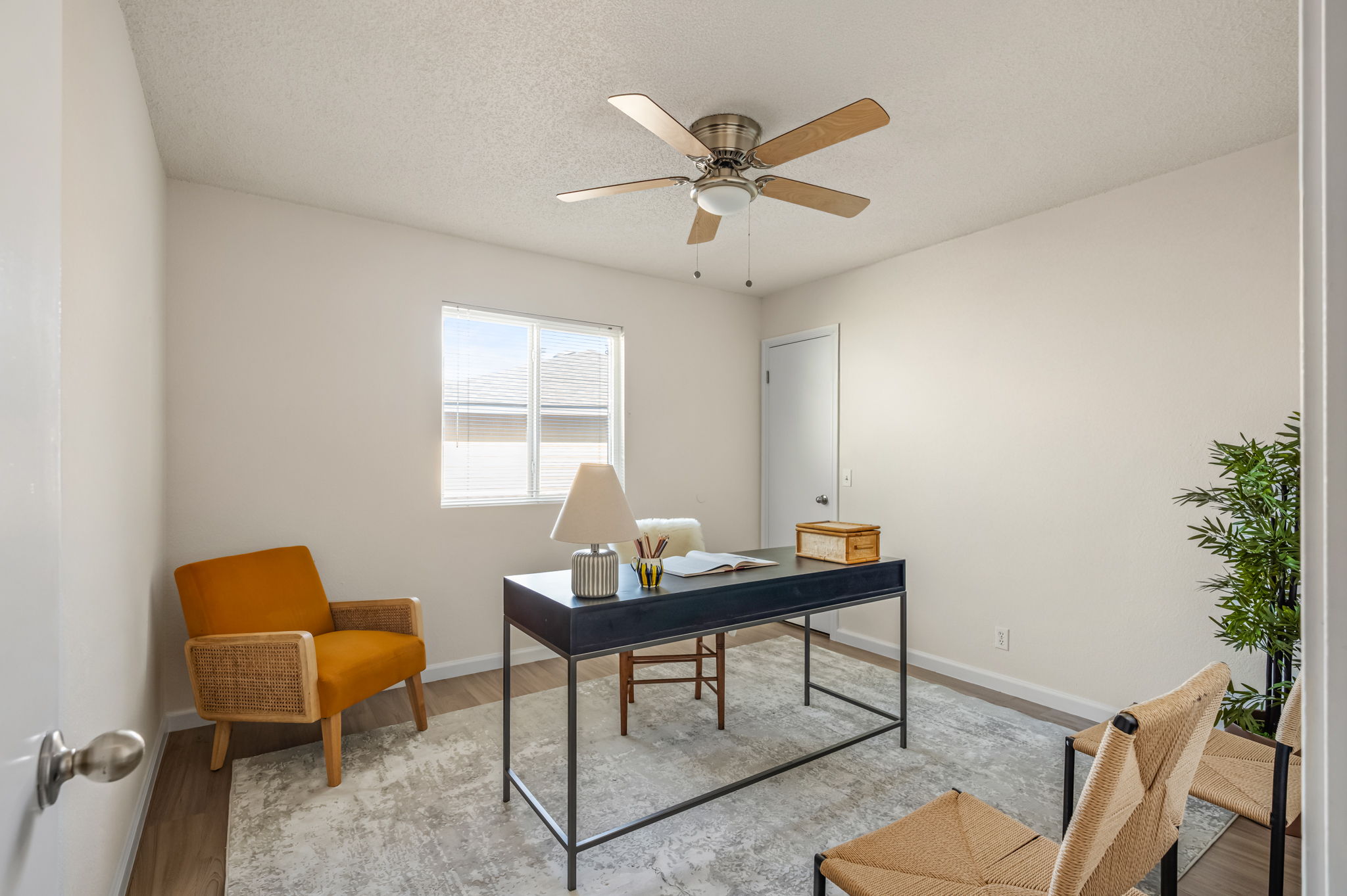 161 Segovia Way Pflugerville, TX 78660 - Photo 24 of 37 a living room with furniture and a potted plant