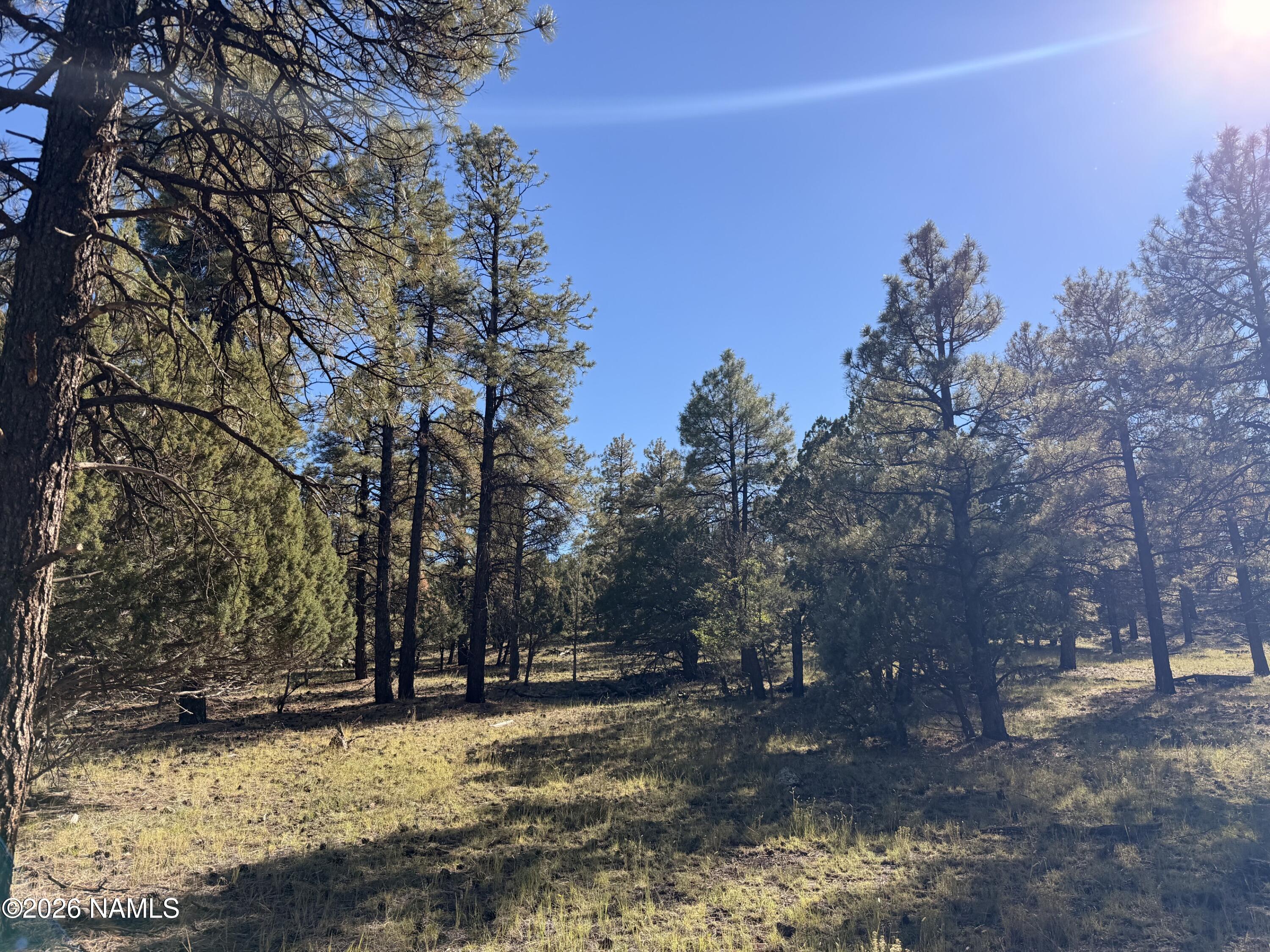 778 North Double A Ranch Road Williams, AZ 86046 - Photo 5 of 13 IMG_2495