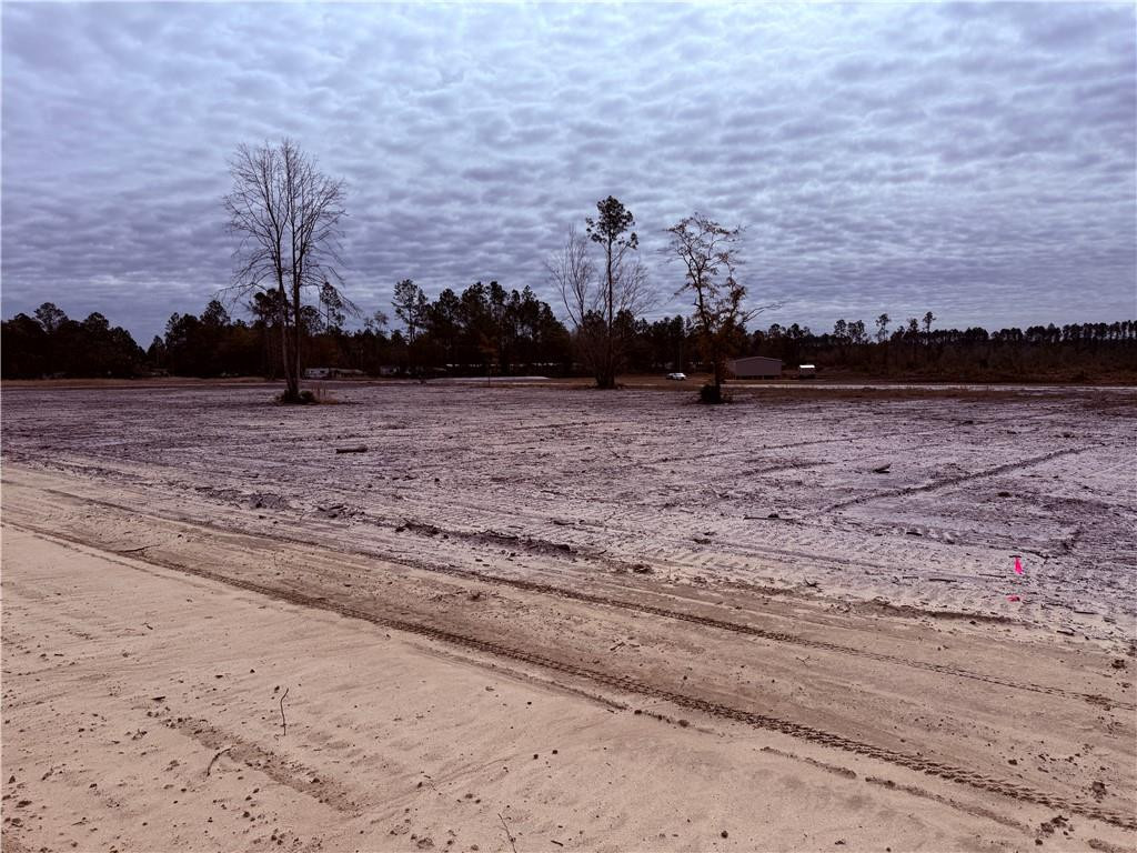 Lot 14 Wiregrass Lane, Unit 14 Waycross, GA 31503 - Photo 4 of 6