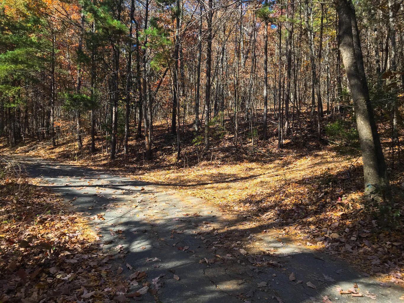 0 Selcer Road Hixson, TN 37343 - Photo 11 of 12 20220303214940161024000000-o